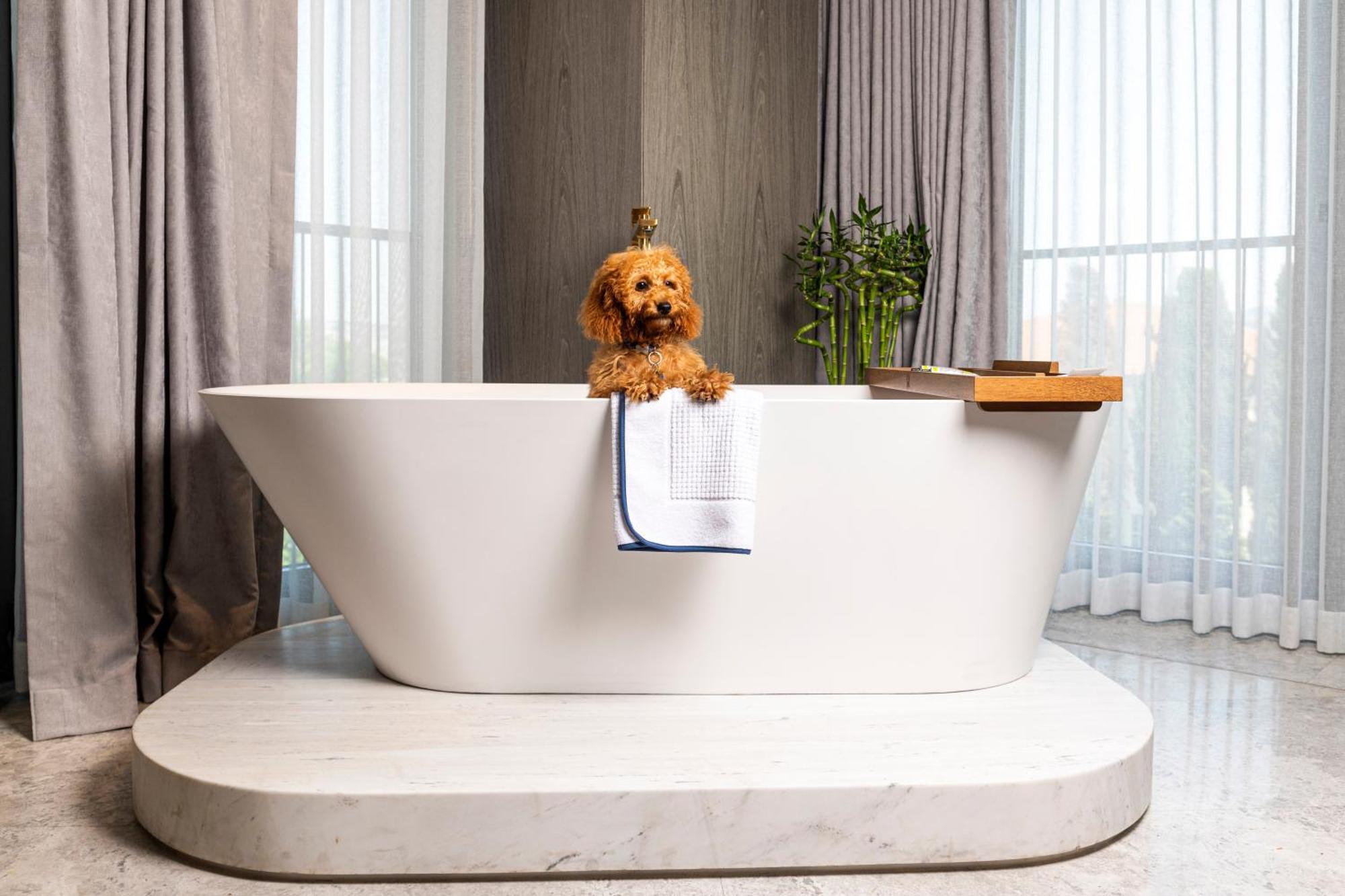 The Maestro Hotel Istanbul Luaran gambar